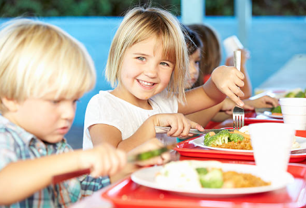 curso comedor escolar	